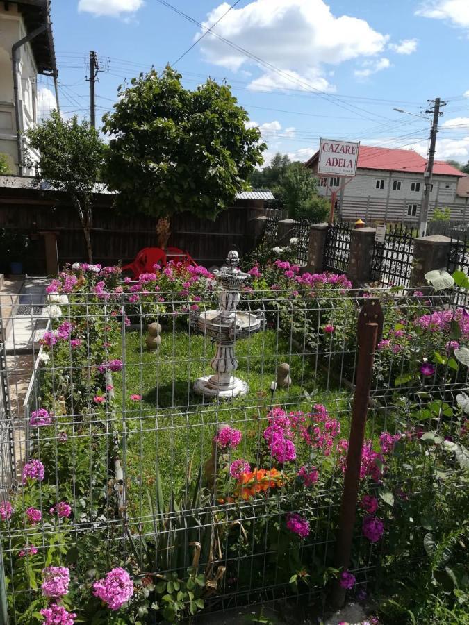 Cazare Adela Horezu Εξωτερικό φωτογραφία